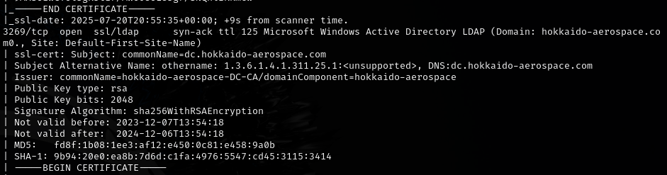 Web enumeration continued