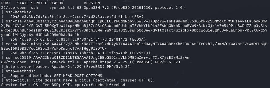 Nmap results